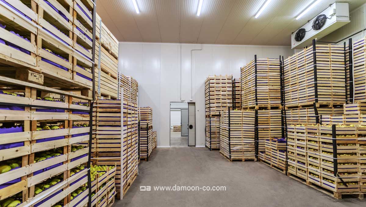 شرایط نگهداری میوه در سردخانه