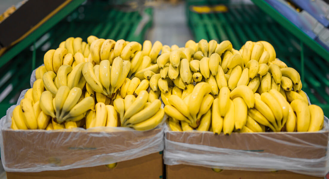 سردخانه موز