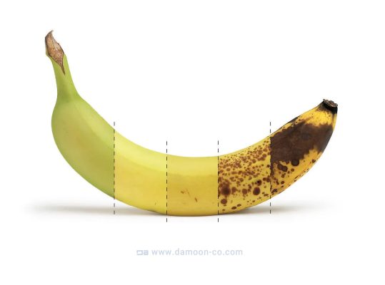 فرایند رساندن موز