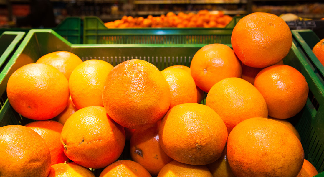 سردخانه مرکبات