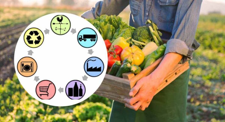 زنجیره سرد مواد غذایی