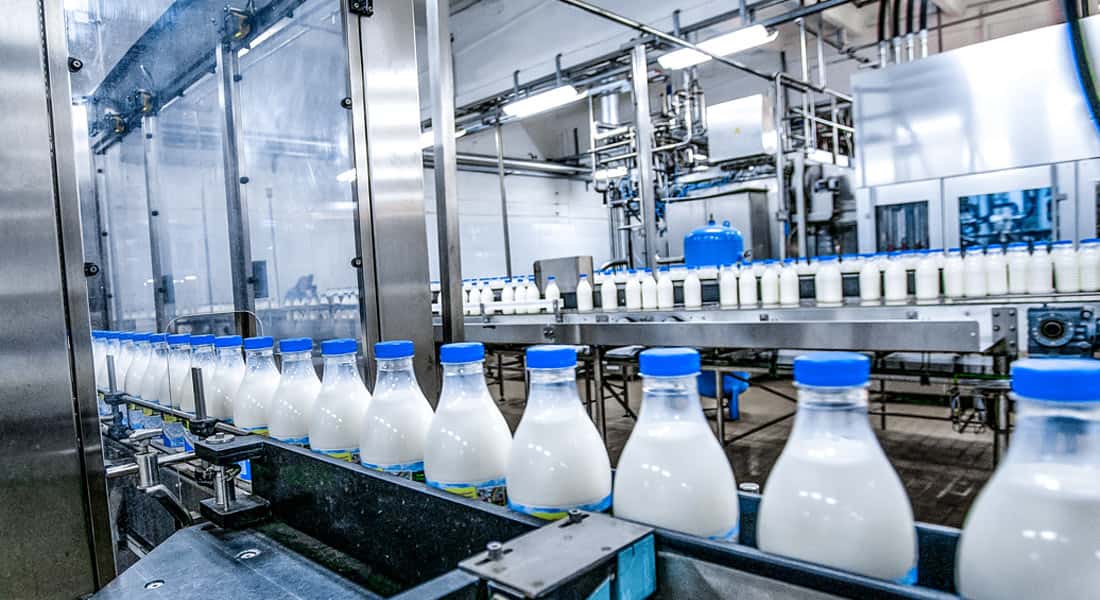 طراحی و ساخت سردخانه لبنیات