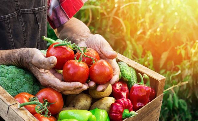 ساخت سردخانه و رشد اقتصادی