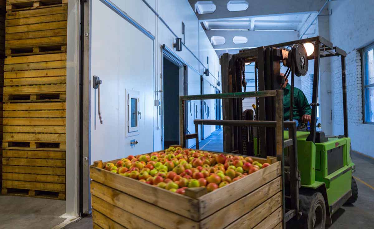 تاثیر سردخانه بر رشد و اقتصاد محلی