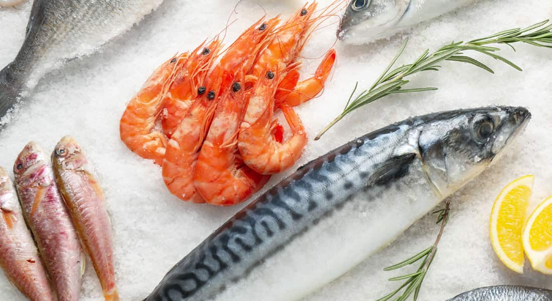 سردخانه ماهی و میگو