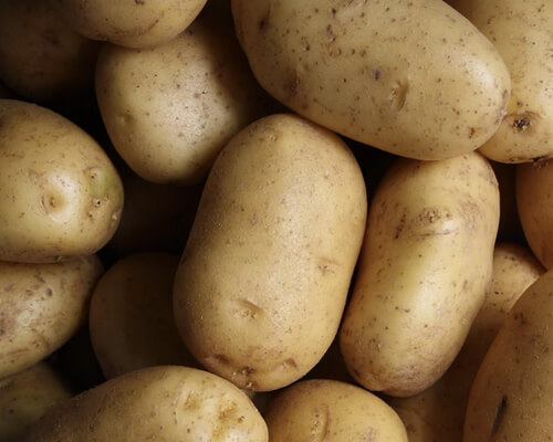 سرما زدگی سیب زمینی