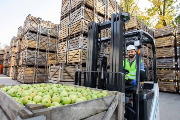 حفظ کیفیت میوه در صادرات