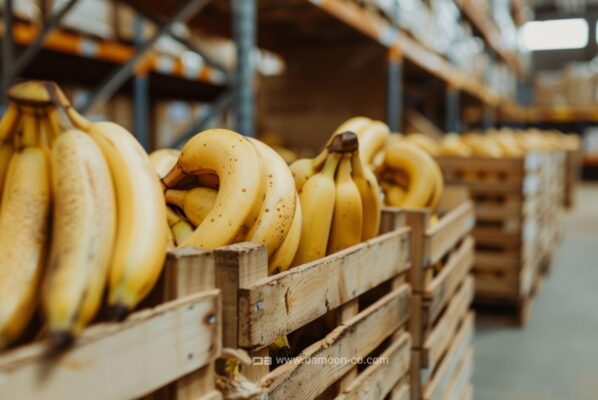 بسته بندی اصولی میوه ها قبل از صادرات