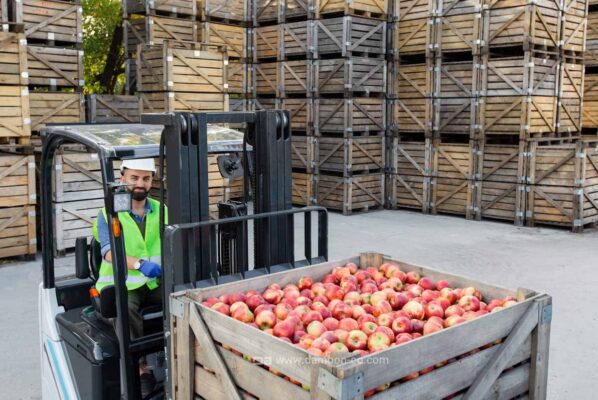 استفاده از تکنولوژی حمل میوه برای صادرات