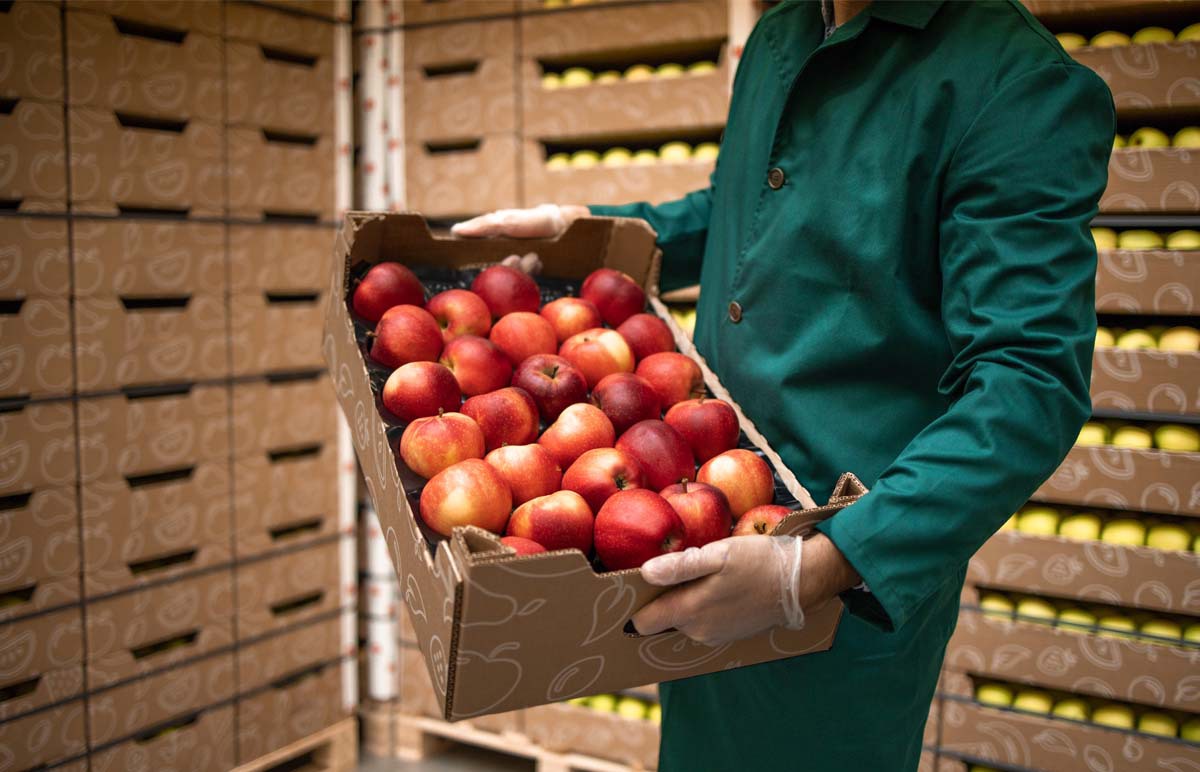 بسته بندی میوه در سردخانه چه تاثیری بر روی حفط کیفیت میوه دارد