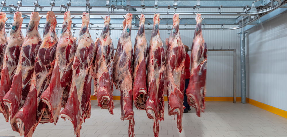 راهنمای نگهداری گوشت در سردخانه