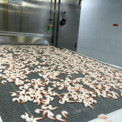 انجماد سریع