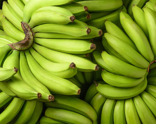 سردخانه موز