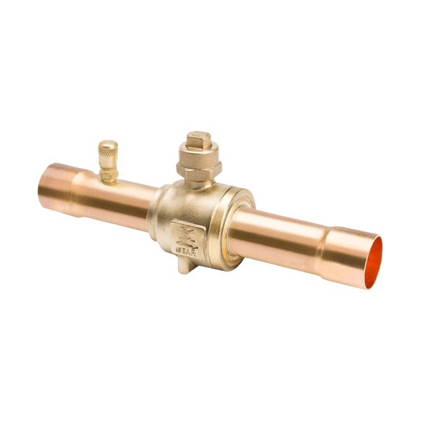 بال ولو دانفوس