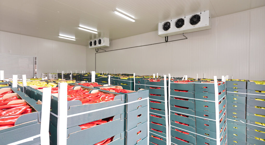 سردخانه بالای صفر درجه